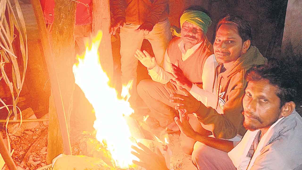 Cold Weather | గజగజ వణికిస్తున్న చలి పులి.. అన్ని జిల్లాల్లో 15 డిగ్రీలలోపు రాత్రి ఉష్ణోగ్రతలు