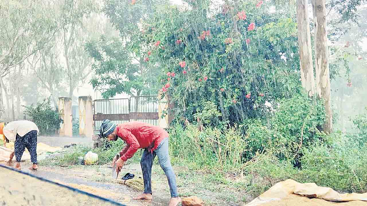 అకాలవర్షంతో రైతన్న విలవిల..