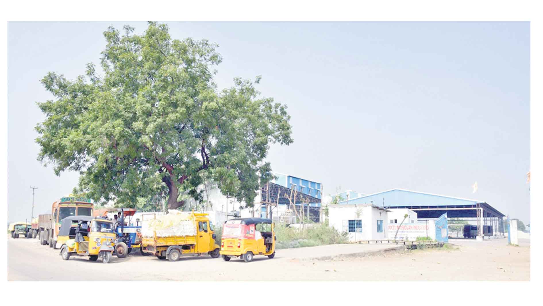 పత్తి రైతు పరేషాన్‌