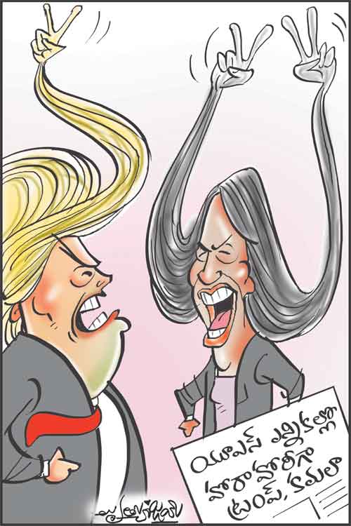 డైలీ కార్టూన్ 06-11-2024