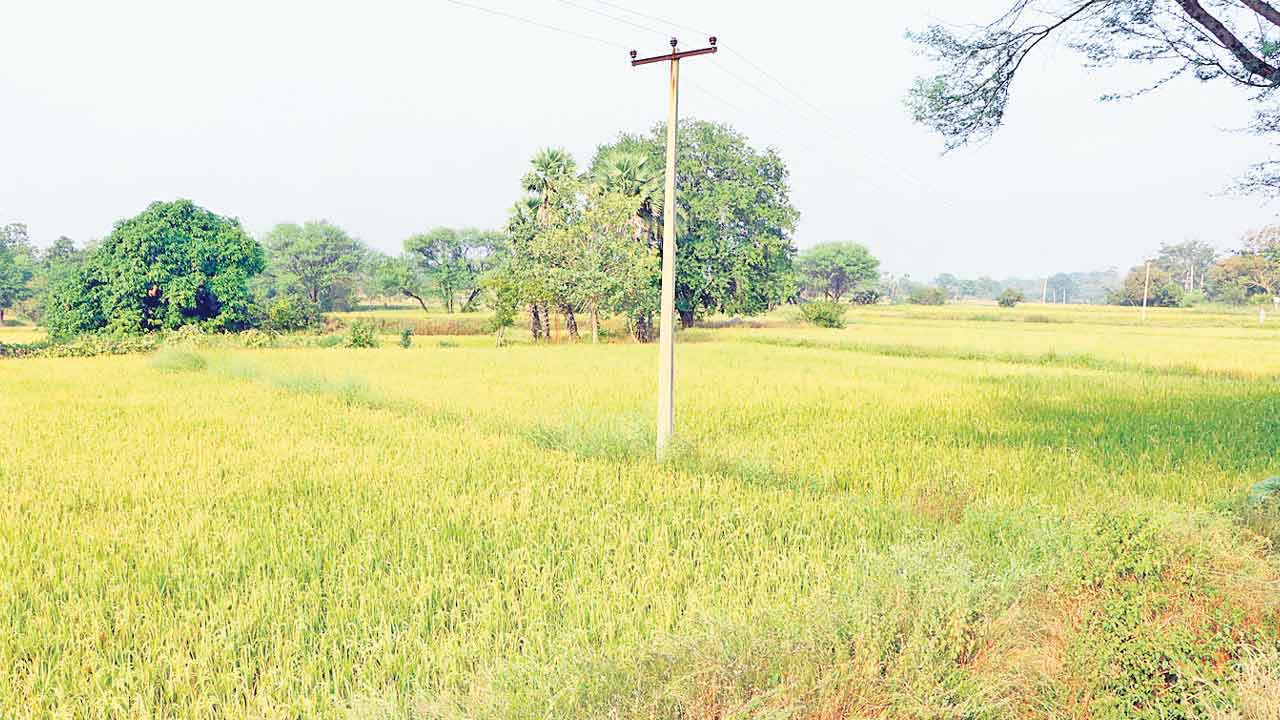 బలవంతపు భూ సేకరణ ఎందుకు?