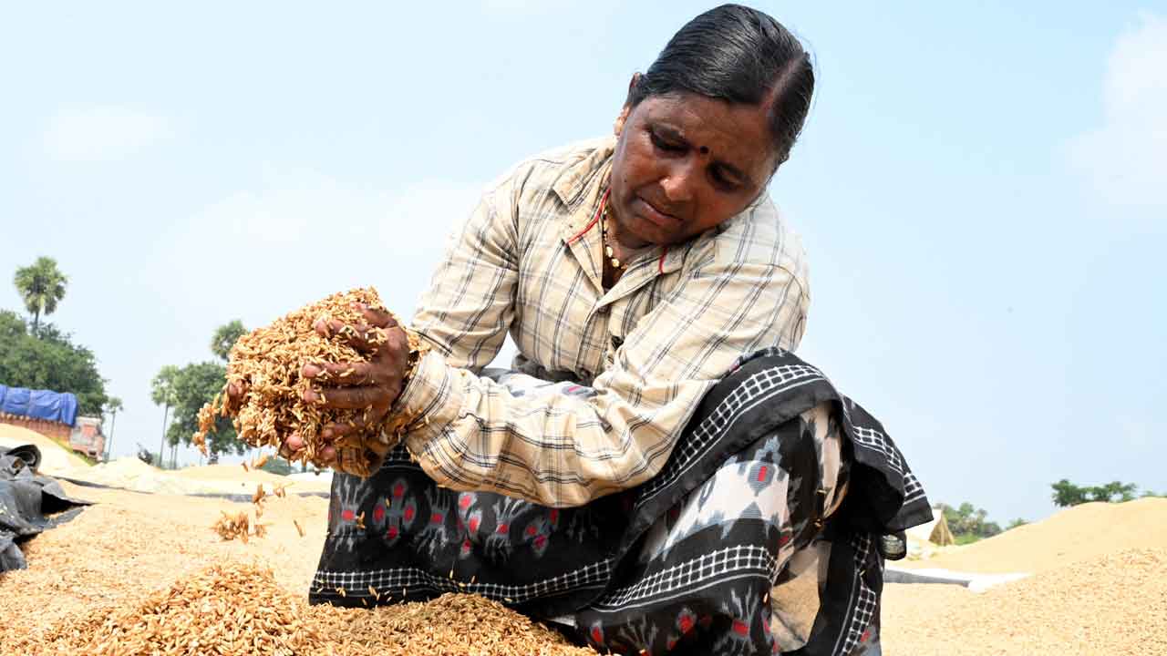 కొనుగోళ్లలో జాప్యం..తడిసి ముద్దయిన ధాన్యం