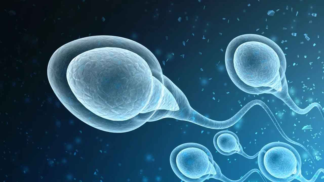 Terahertz Radiation | 6జీ టెక్నాలజీతో సంతానోత్పత్తి సమస్యలు.. శాస్త్రవేత్తల ఆందోళన