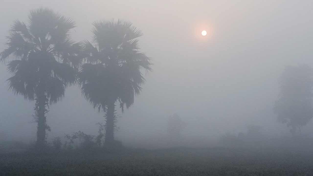 ఇదేం ఇగం