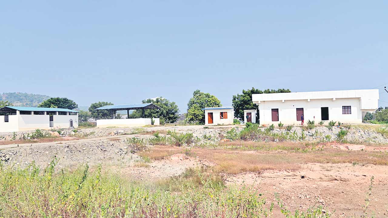 నిర్వహణ లోపం.. శునకాలకు శాపం