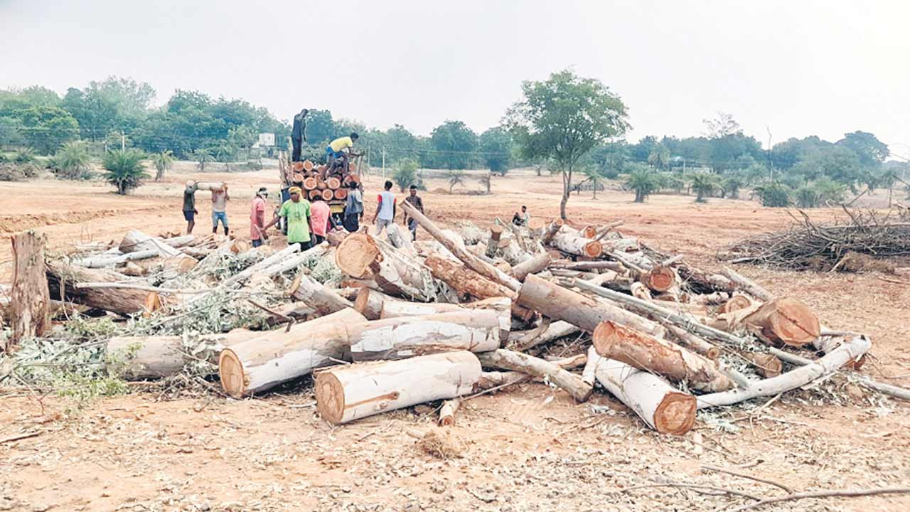 Adilabad1