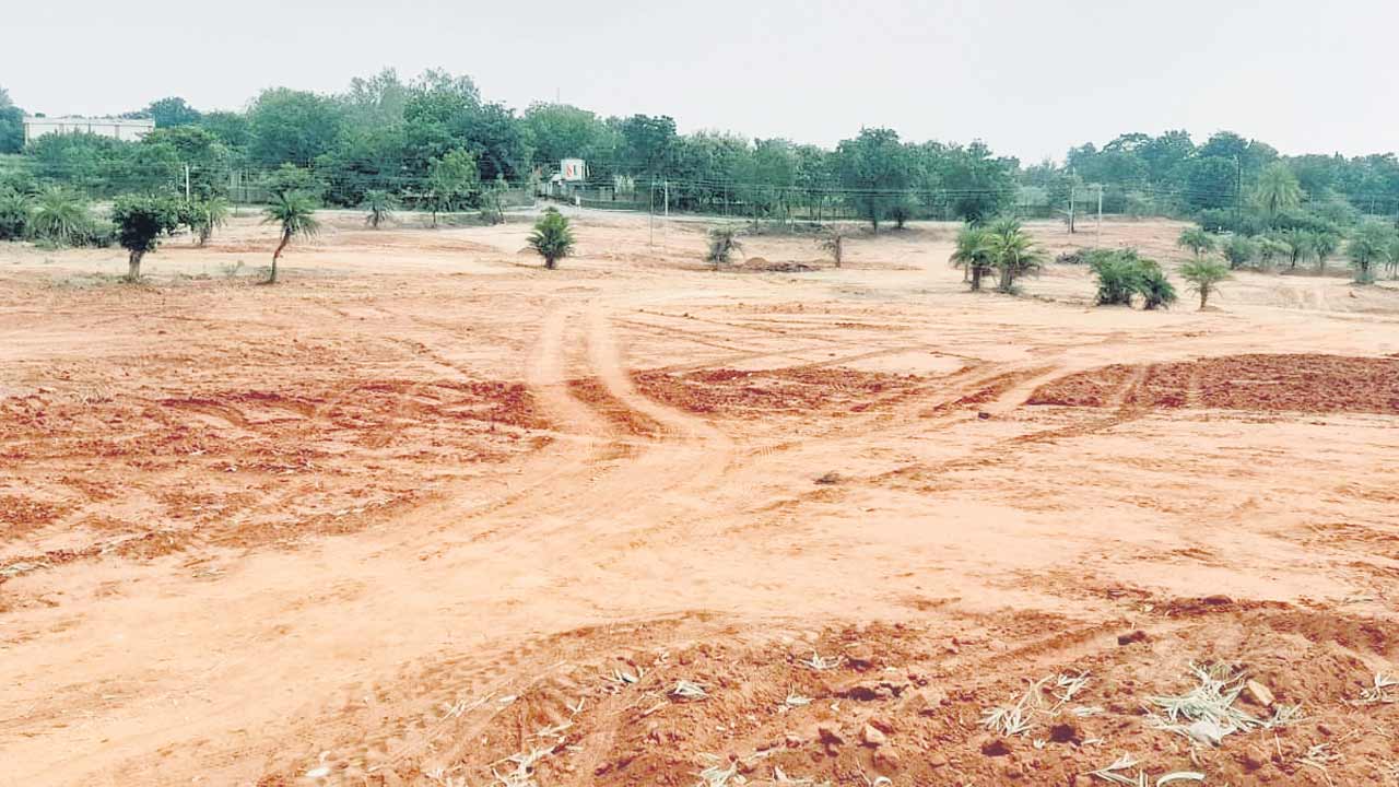 బెల్లంపల్లిలో సోలార్‌ ప్లాంట్‌