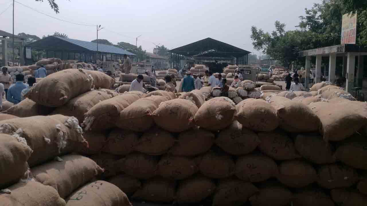 పత్తి@రూ.7,025