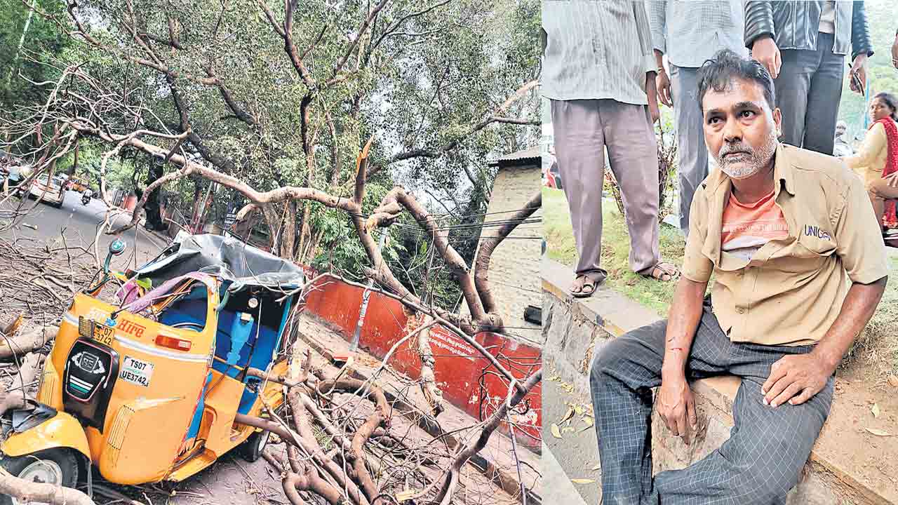 మింట్‌ కాంపౌండ్‌లో కూలిన భారీ వృక్షం