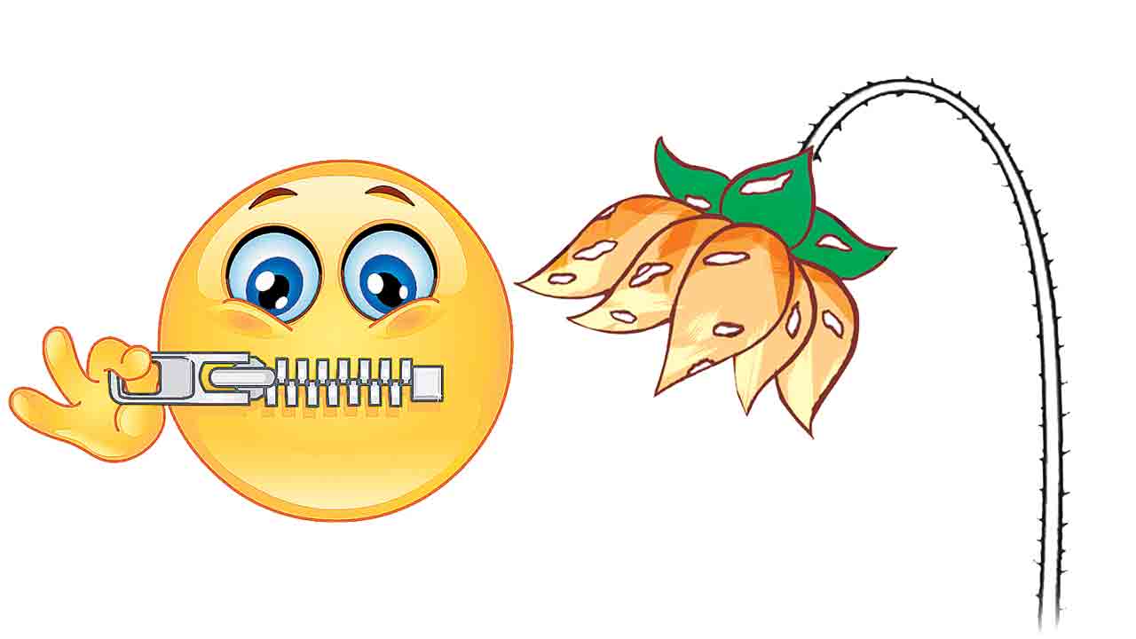 బీజేపీ సైలెన్స్‌