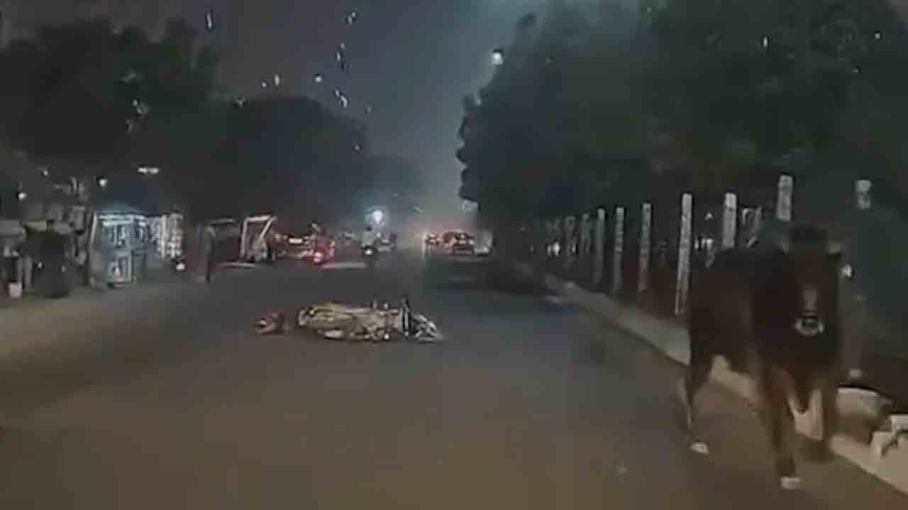 Watch: బైక్‌పై వెళ్తున్న వ్యక్తిపైకి దూసుకెళ్లిన ఎద్దు.. తర్వాత ఏం జరిగిందంటే?