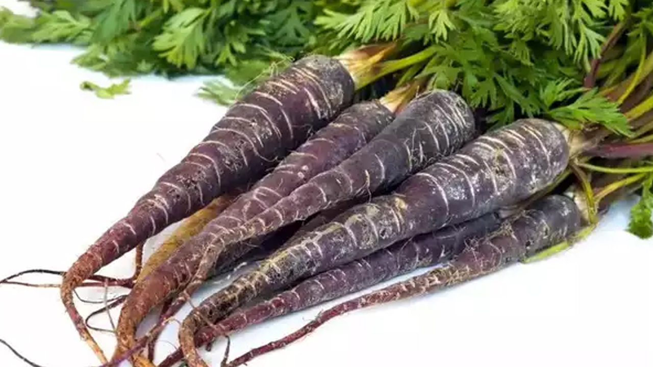 Health tips | లాభమేందో తెలిస్తే ఈ నల్ల క్యారెట్‌లు తినకుండా అస్సలు ఉండలేరు..!