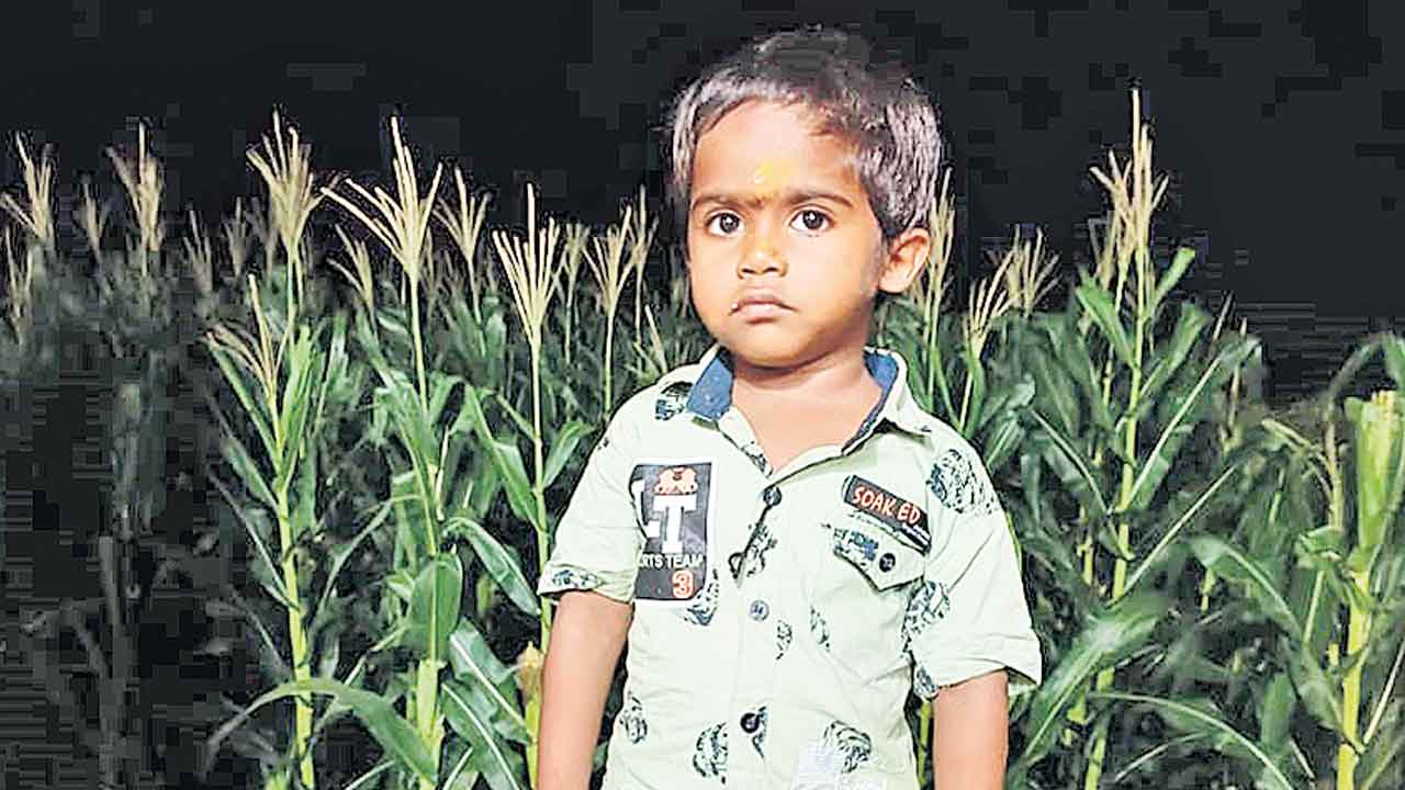 డెంగ్యూతో బాలుడి మృతి