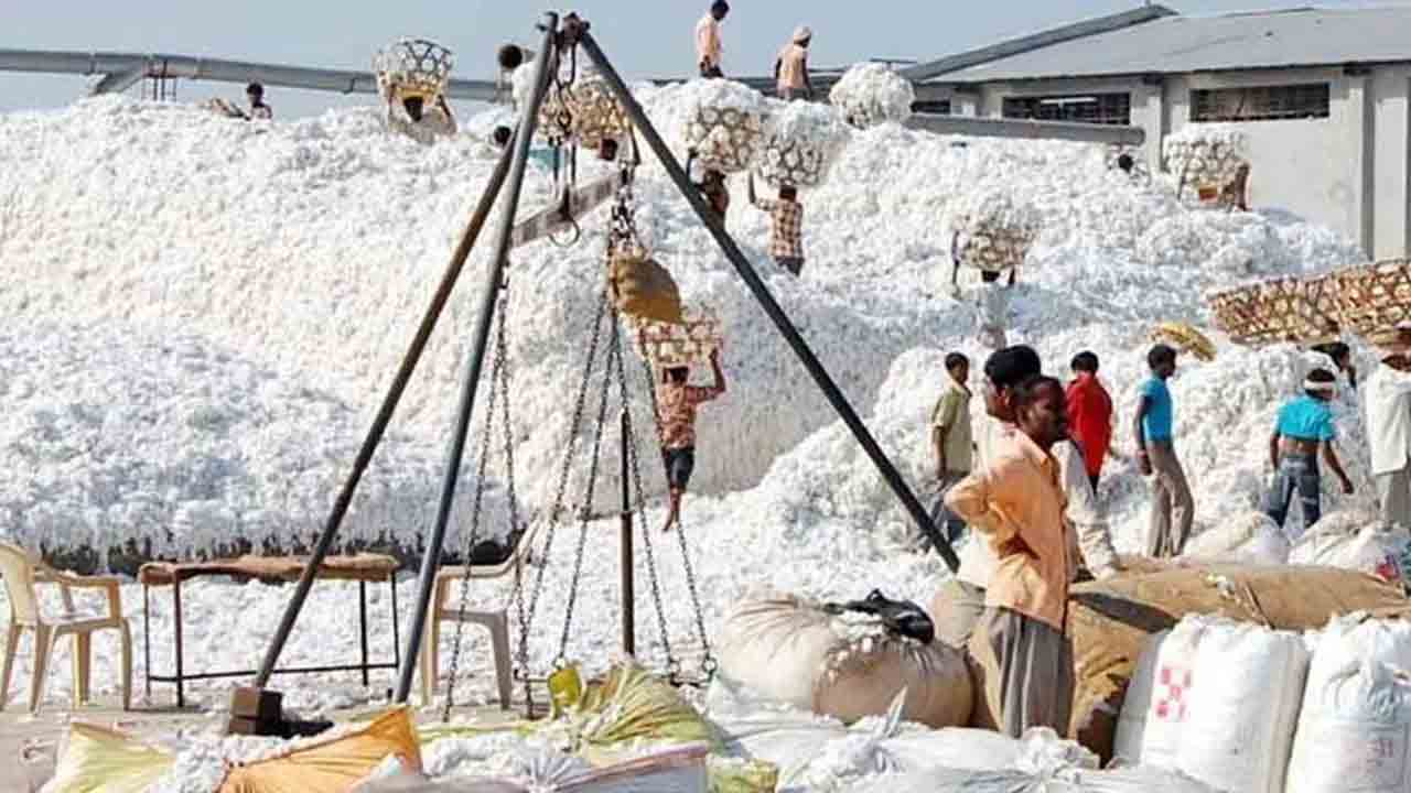 నేటి నుంచి పత్తి కొనుగోళ్లు బంద్‌