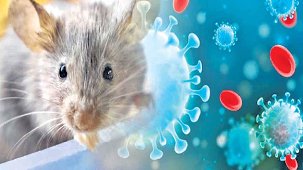 క్యాన్సర్‌ పనిపడుతున్న కొవిడ్‌!