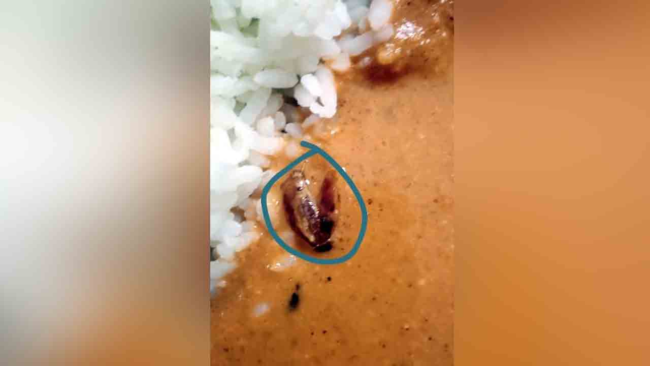 చట్నీ, సాంబార్‌లో బొద్దింకలు