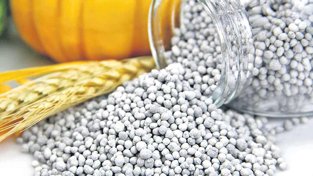 DAP | డీఏపీకి కటకట.. కావాల్సింది 1.5 లక్షలు.. ఉన్నది 10 వేల టన్నులే