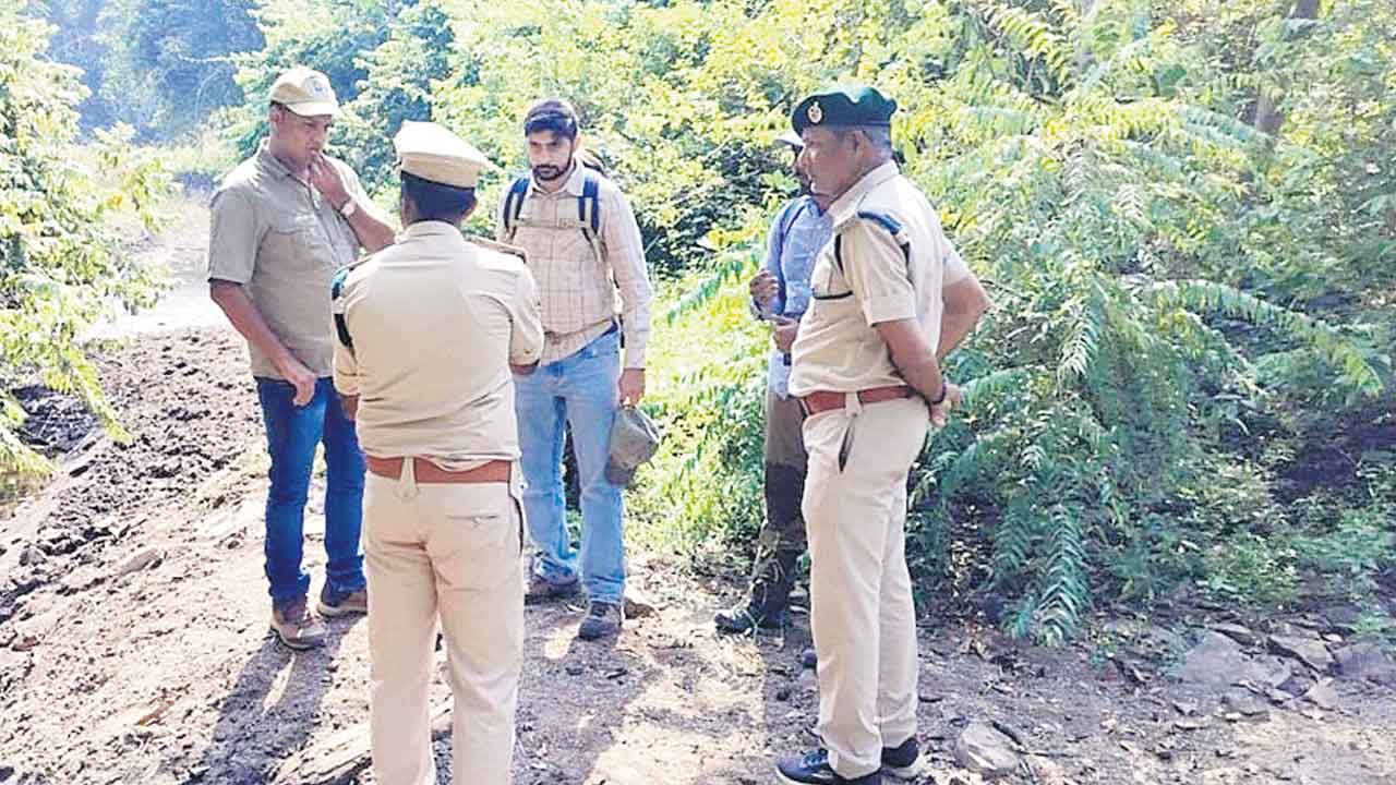Forest Officials