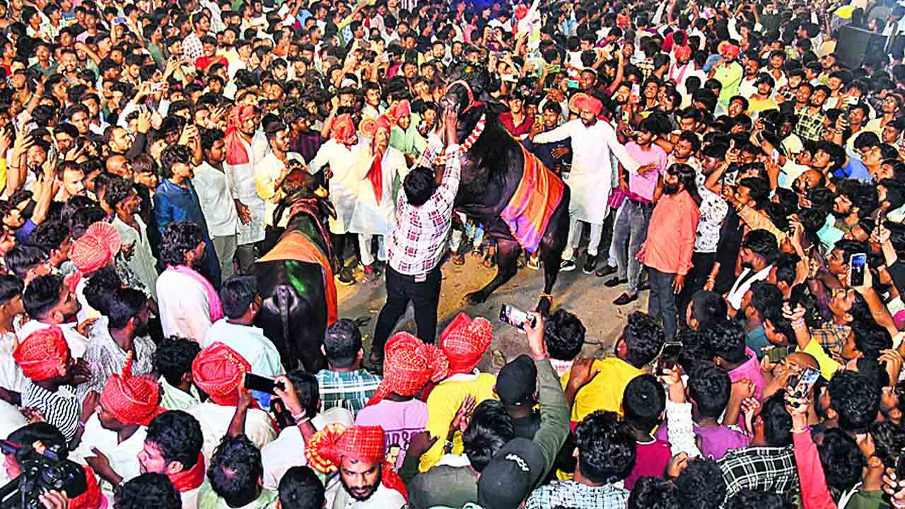 వైభవంగా గోకుల్‌ సదర్‌