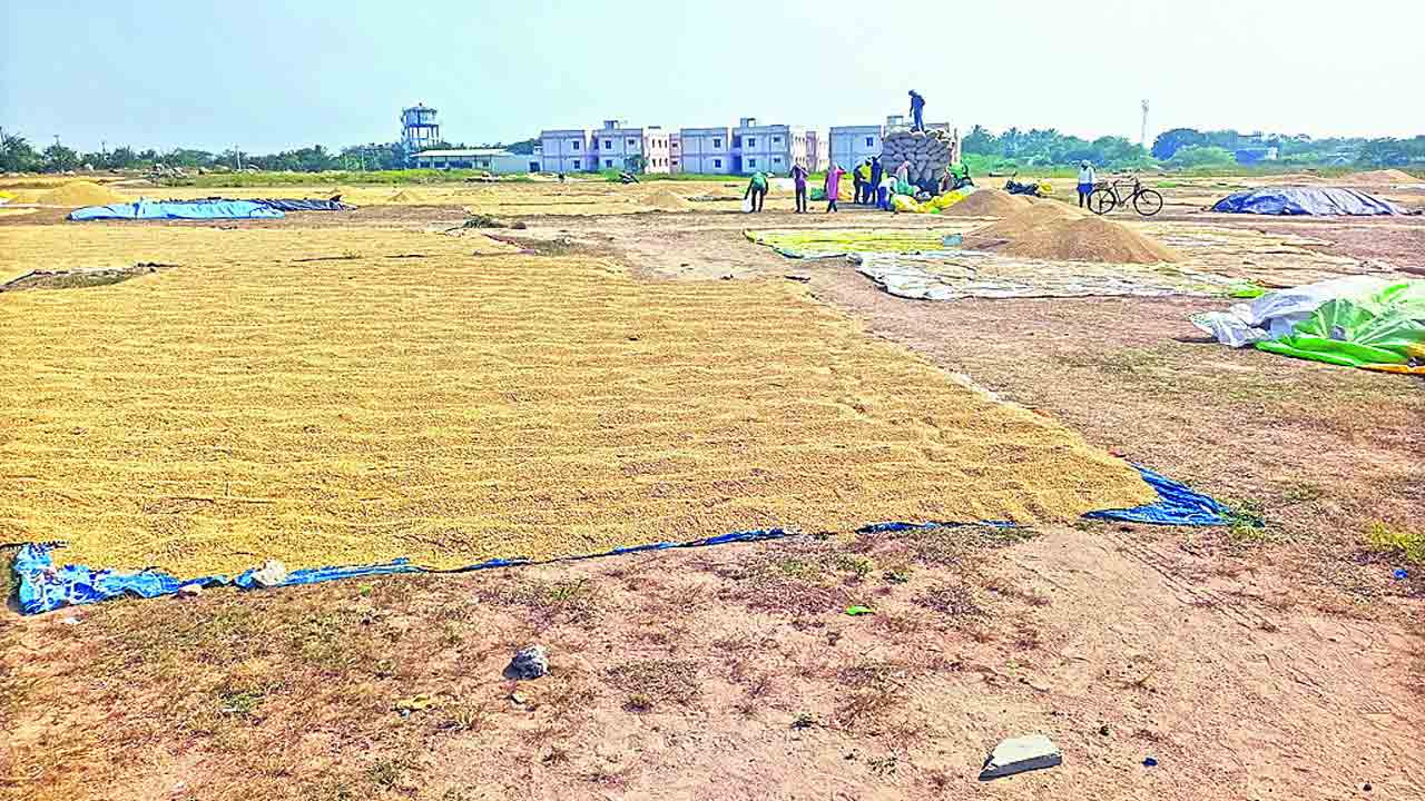 కోతలెక్కువ కొనుడు తక్కువ