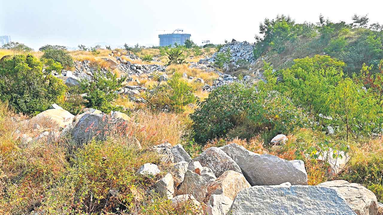 Raidurgam | మంత్రి కనుసన్నల్లో బిగ్‌ భూదందా! రాయదుర్గంలో 99 ఎకరాల ప్రభుత్వ భూమికి ఎసరు.. విలువ 10 వేల కోట్ల పైనే