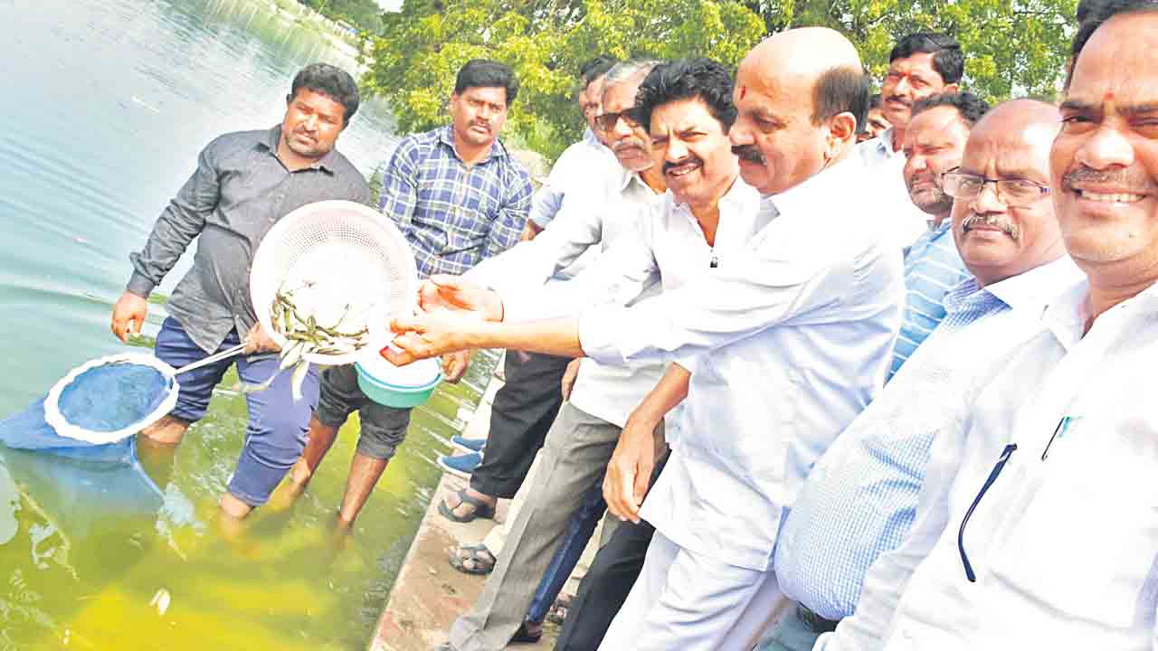 మత్స్యకారులకు చేపపిల్లలు అందజేయాలి