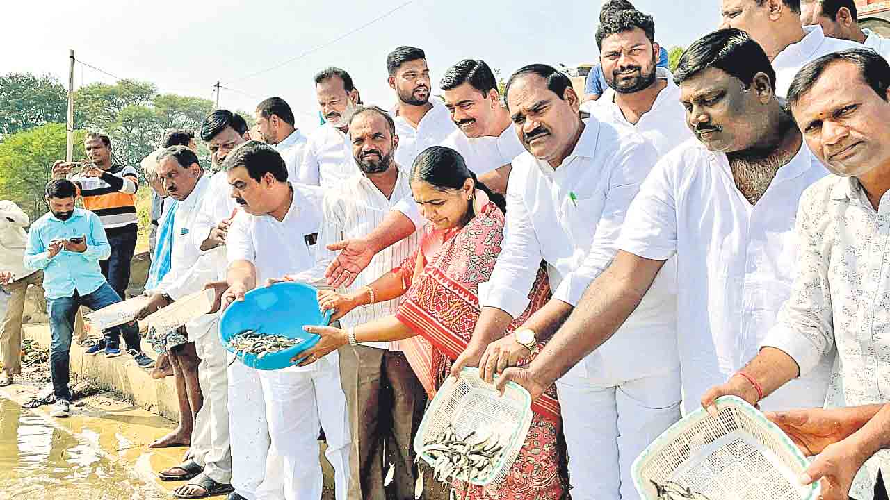 చేపల పెంపకంతో ఉపాధి పొందాలి