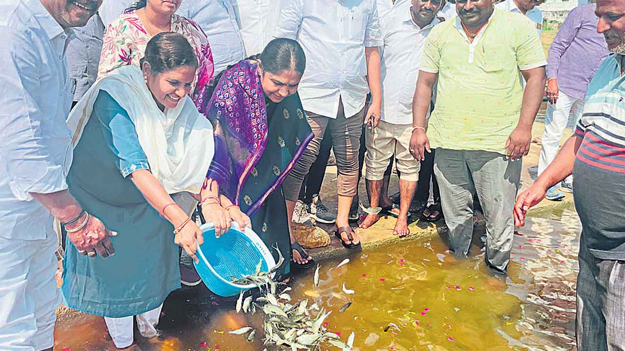 చేప పిల్లల సంఖ్య తగ్గింది