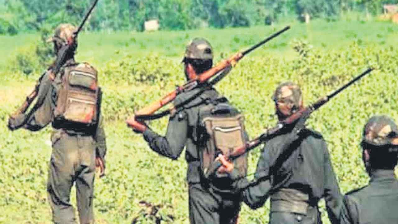 Maoists surrender  | 14 మంది మావోయిస్టులు లొంగుబాటు