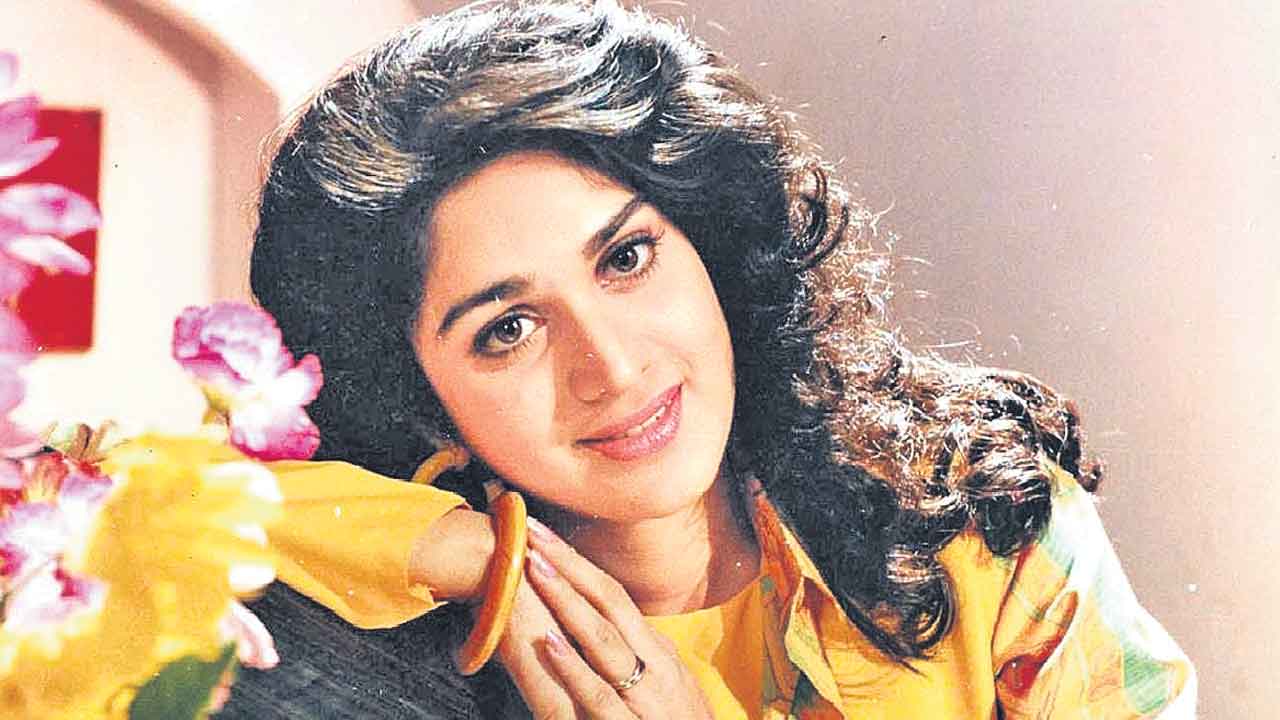 Meenakshi Seshadri | ఆ దర్శకుడు నన్ను పక్కన పెట్టేశారు: మీనాక్షి శేషాద్రి