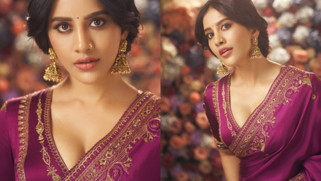 Nabha Natesh