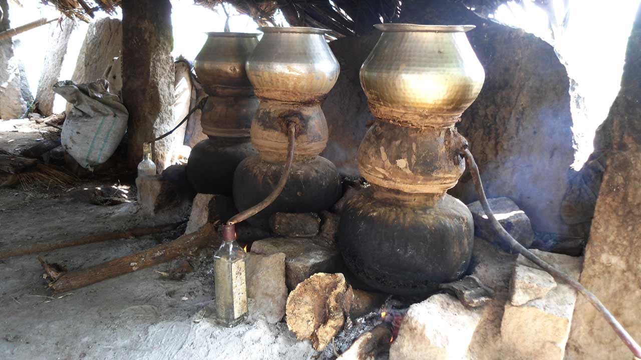 కోరలు చాస్తున్న సారాకాసి