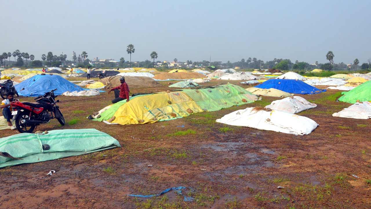 ధాన్నం కొనే దిక్కేది