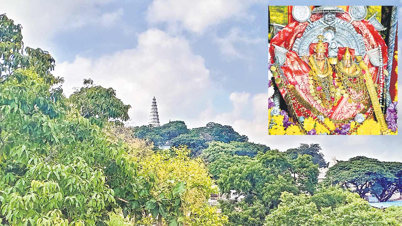 నింబాచలానికి బ్రహ్మోత్సవ శోభ