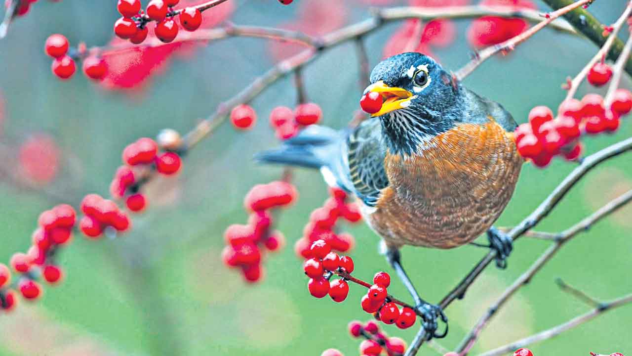 ఆ బాధ్యత దైవానిదే