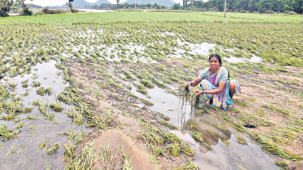 అరకొరగా పరిహరం..