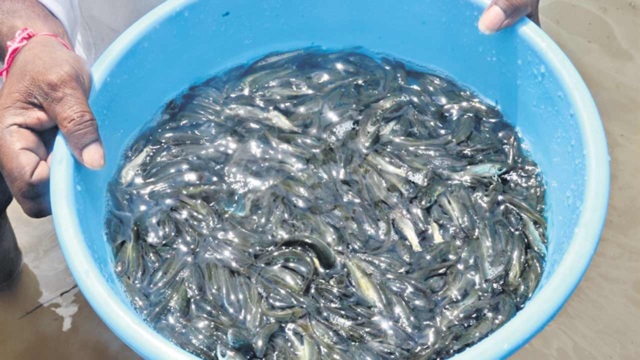 అత్తెసరు..