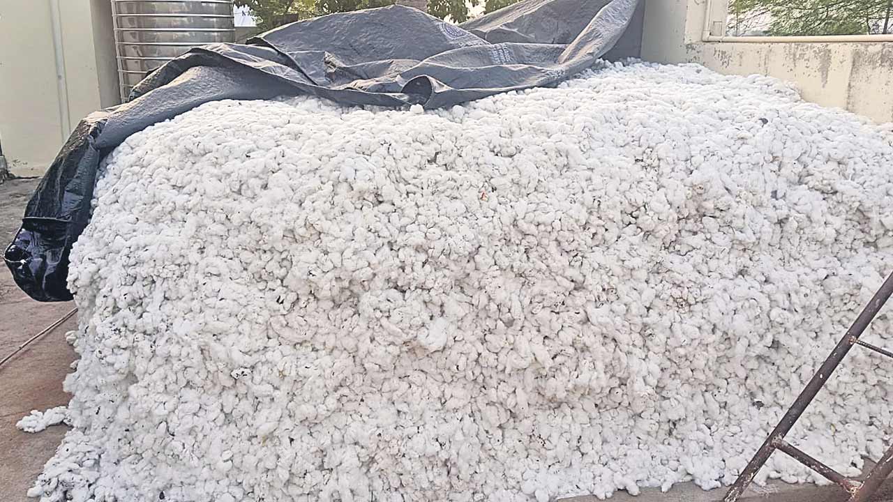 అగమ్యగోచరం పత్తిరైతు ఆగమాగం