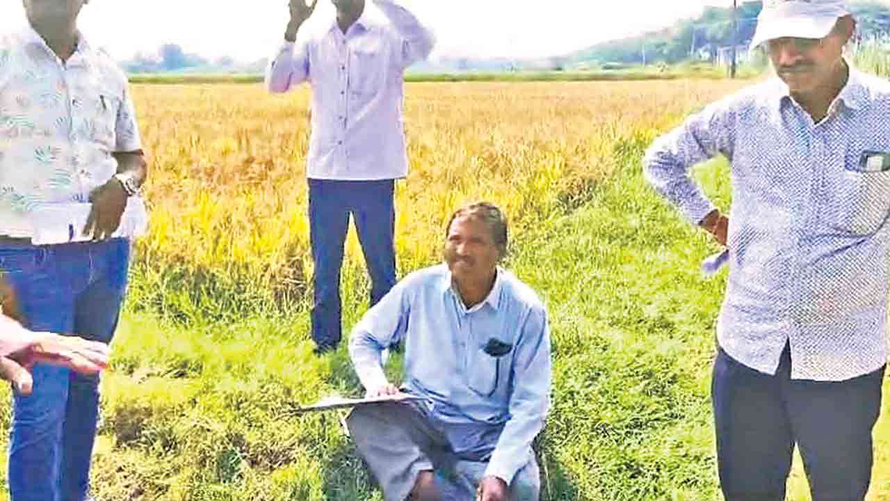ఇండస్ట్రియల్ పార్కు వద్దే వద్దు!