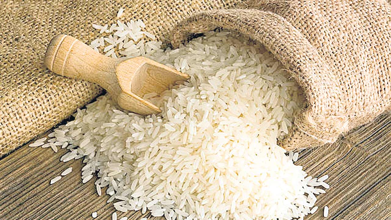 Rice