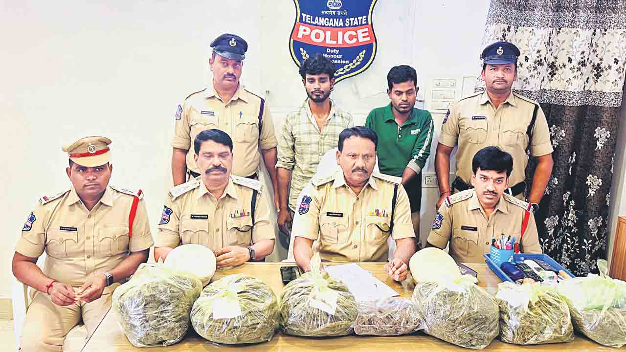 భారీగా గంజాయి పట్టివేత