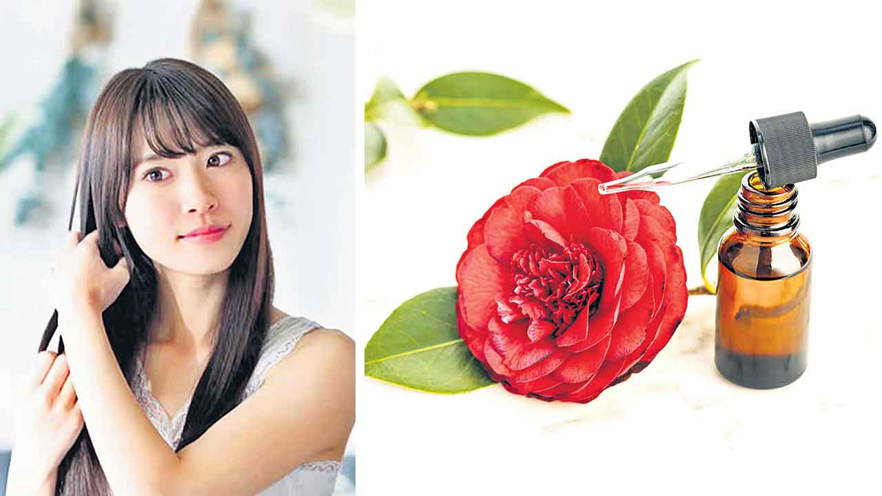 జుట్టుకు కొరియా మెరుపు..