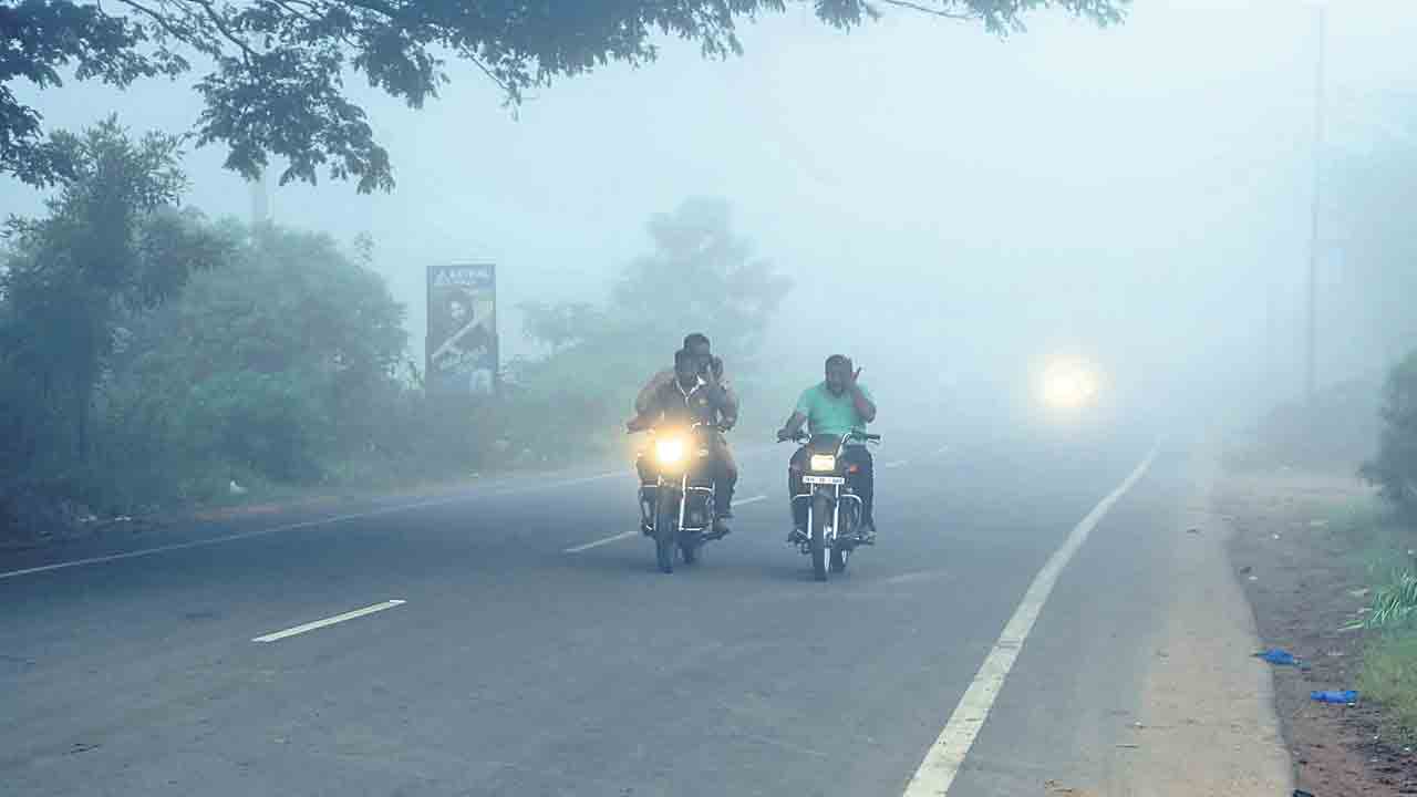 కమ్ముకున్న పొగమంచు