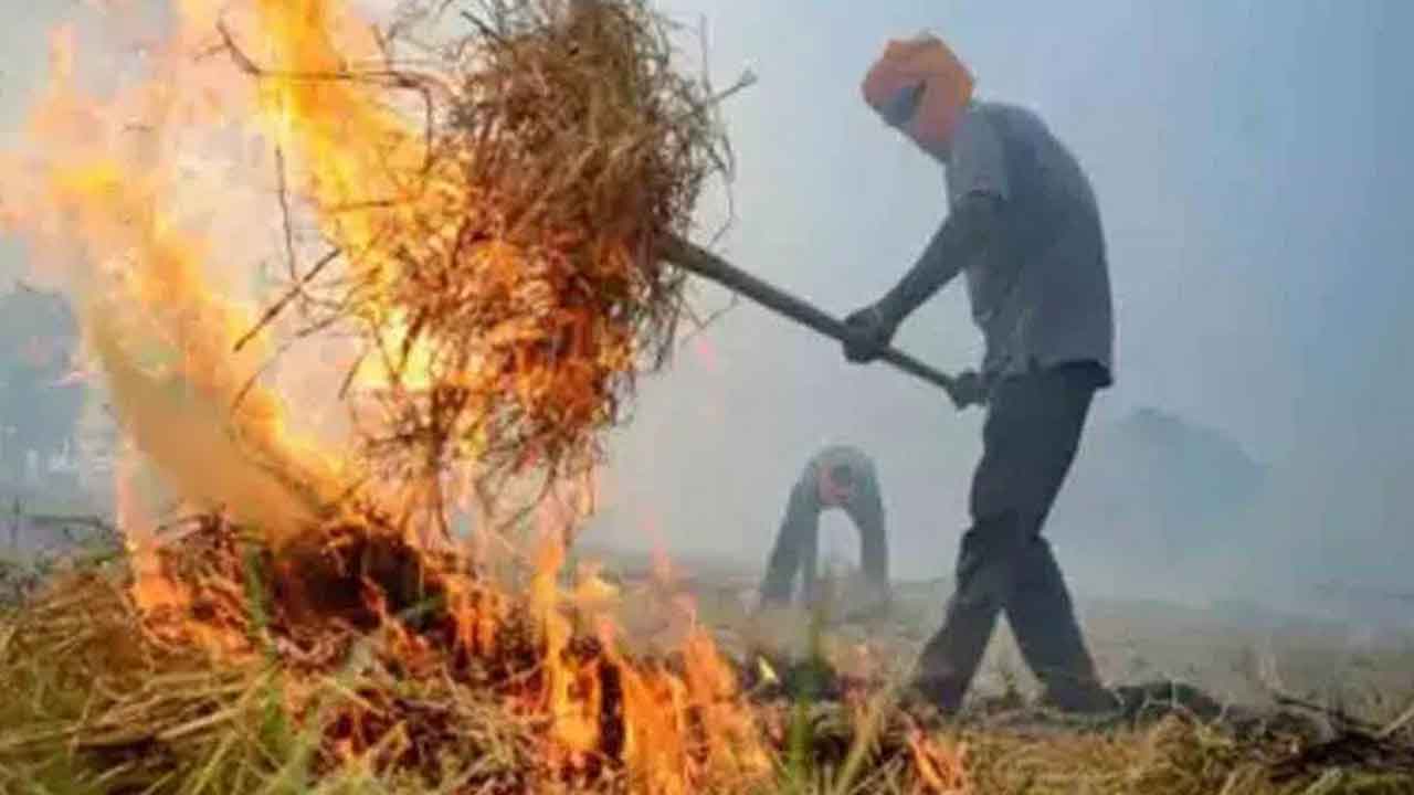 Stubble Burning | పంట వ్యర్థాలు తగులపెడితే జరిమానా రెట్టింపు