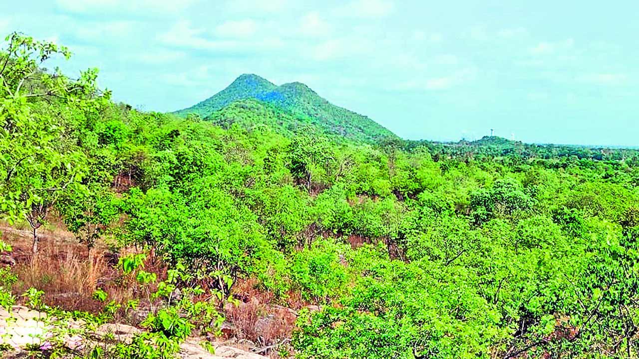 స్మగ్లర్లకు వరాల గుట్ట