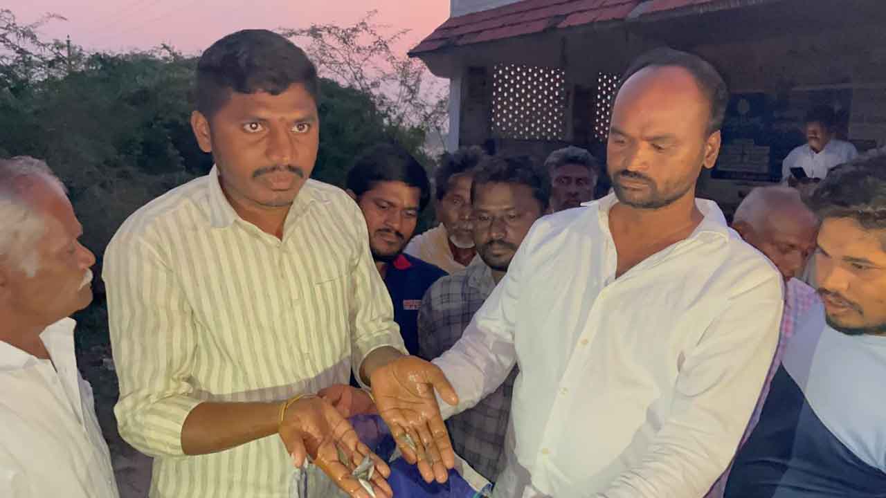 ఉచిత చేప పిల్లల విడుదలలో నిబంధనలకు నీళ్లు