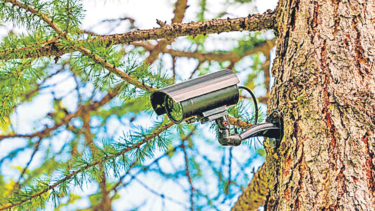 సాంకేతికత దుర్వినియోగం.. ఫారెస్ట్‌లో కెమెరాలతో మహిళలపై వేధింపులు!
