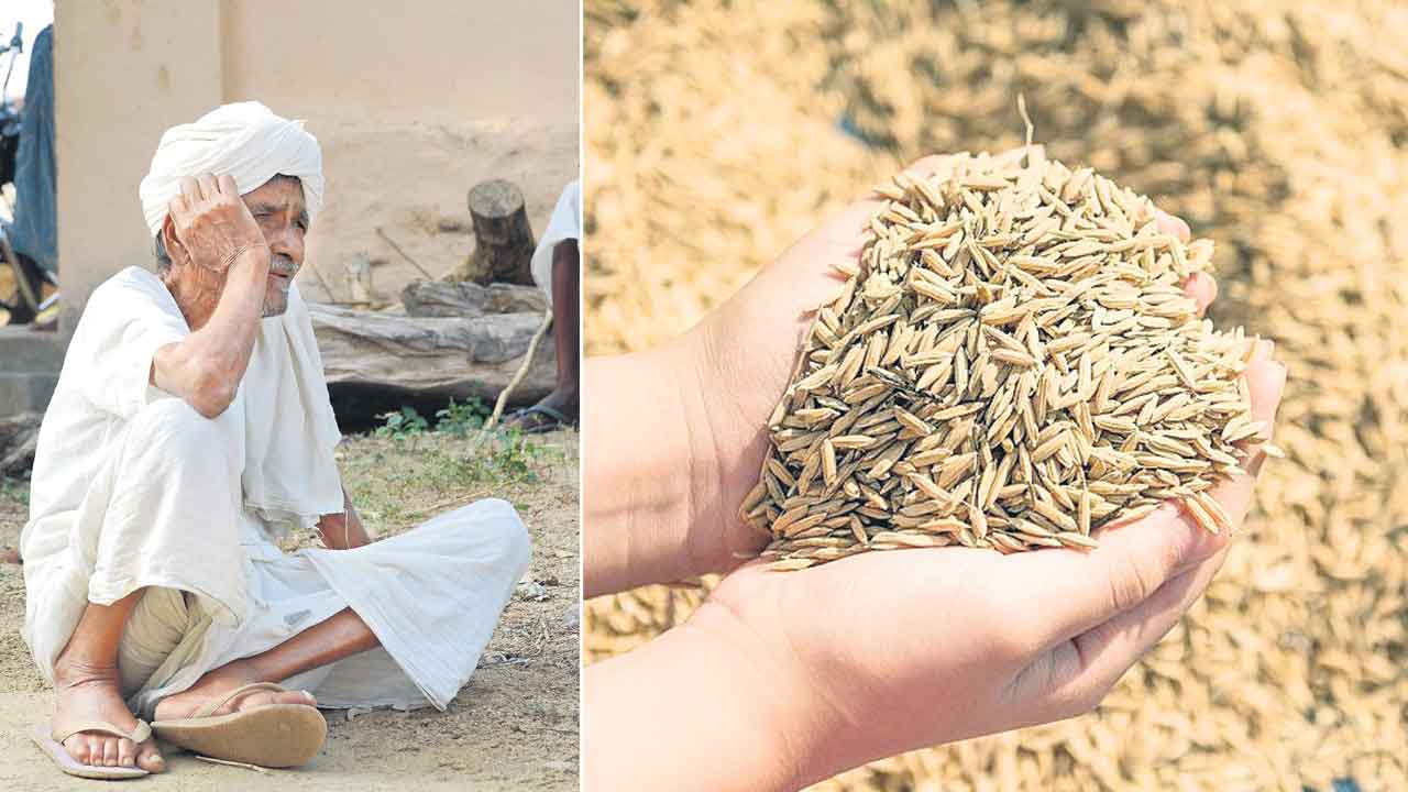 విత్తన కొరత.. అధిక ధర