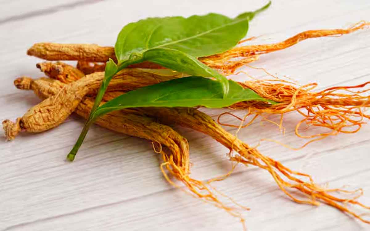 Herbs To Use In Winter | ఈ సీజ‌న్‌లో ఈ ఆయుర్వేద మూలిక‌ల‌ను వాడండి.. రోగాల నుంచి సుర‌క్షితంగా ఉండండి..!