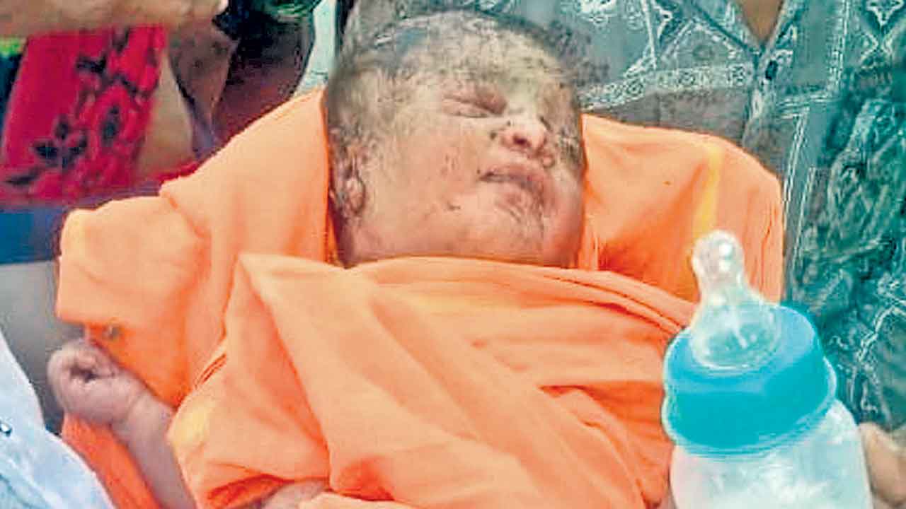 ముళ్లపొదల్లో శిశువు